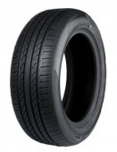 BearPaw Harmonic